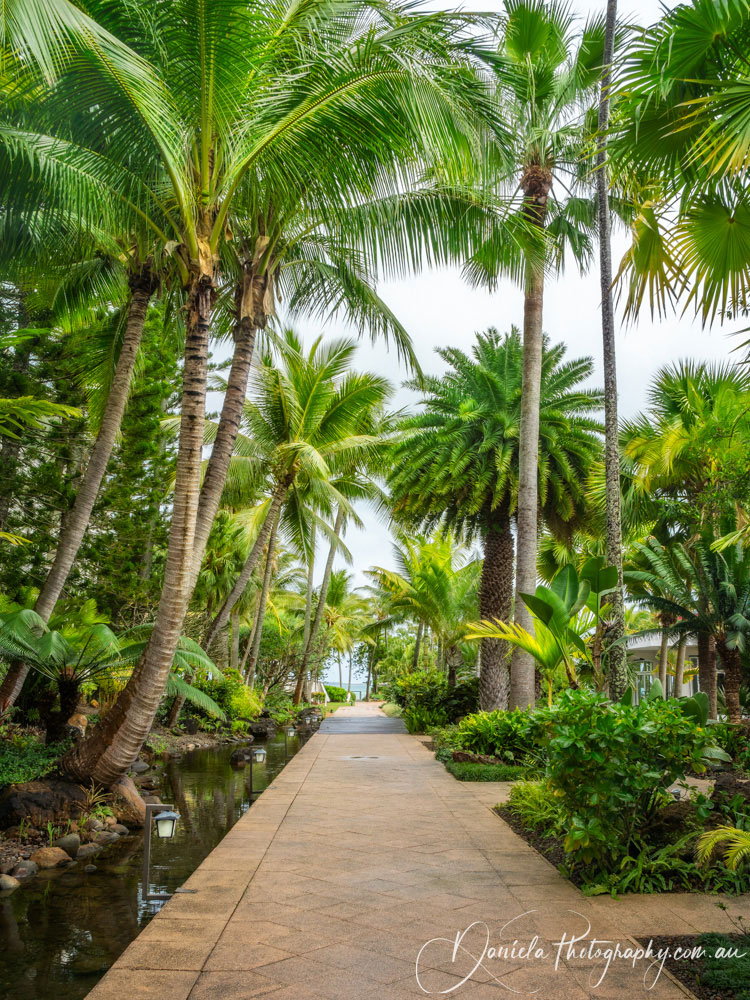 A path in a tropical garden next to Anse Vata Beach in Noumea -South Pacific Ocean